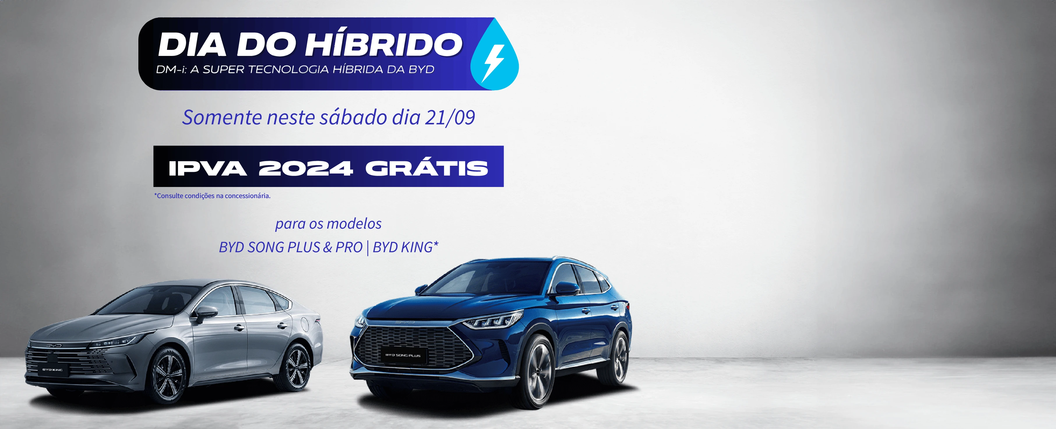 banner banner dia do híbrido